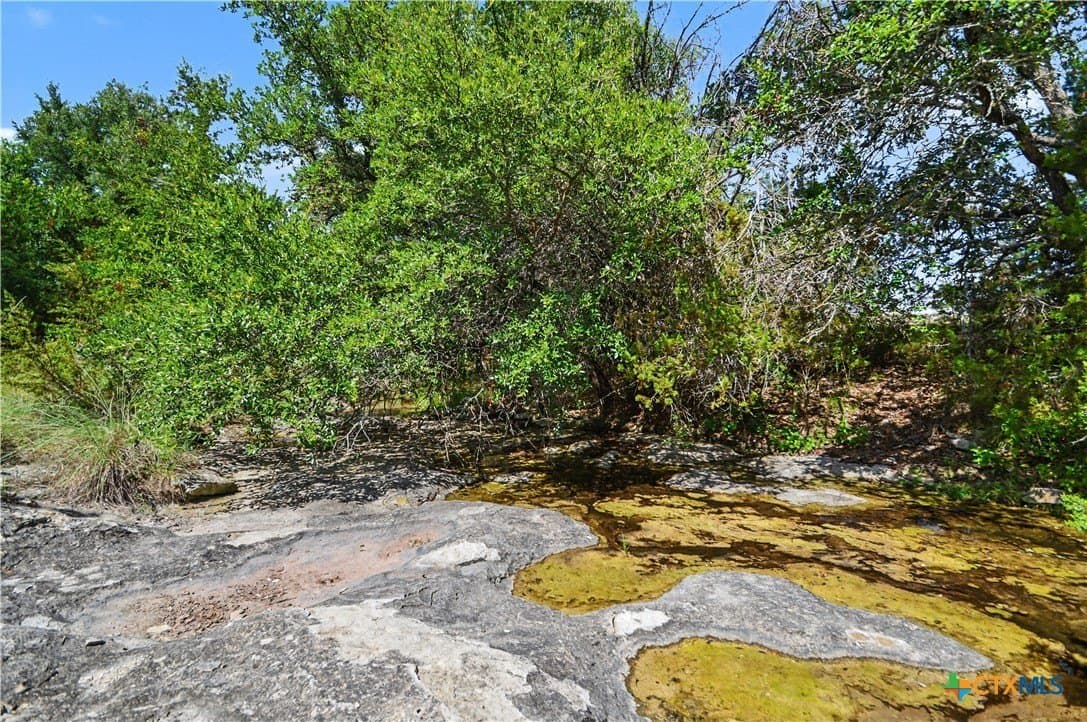 76.76 acres in Lampasas County gallery image 4