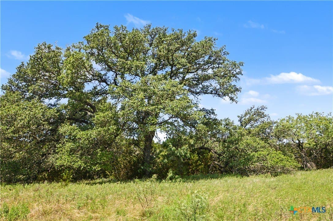 76.76 acres in Lampasas County - photo 47