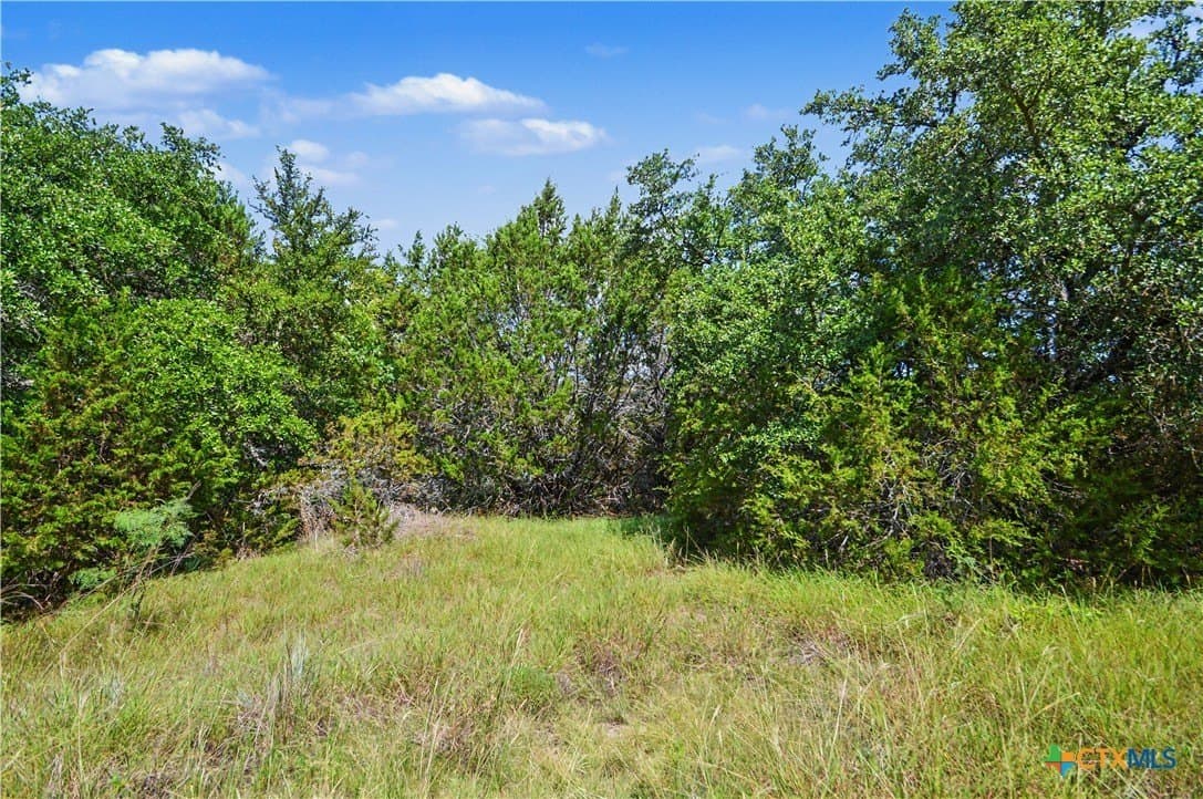 76.76 acres in Lampasas County - photo 39