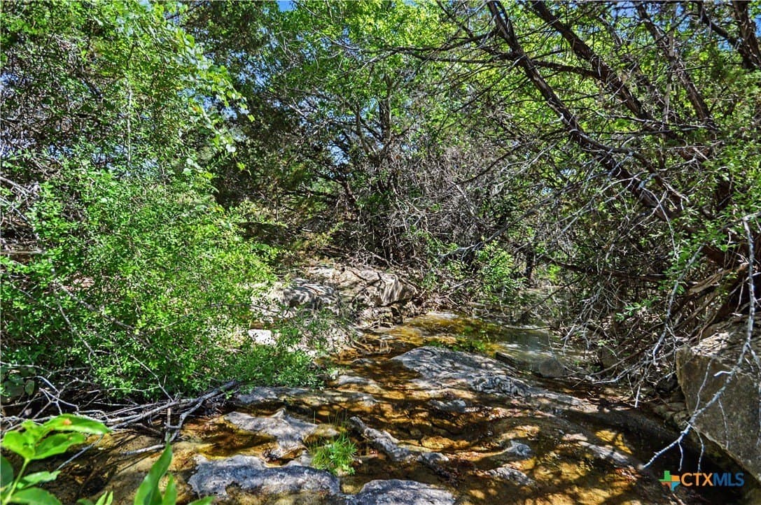 76.76 acres in Lampasas County gallery image 3