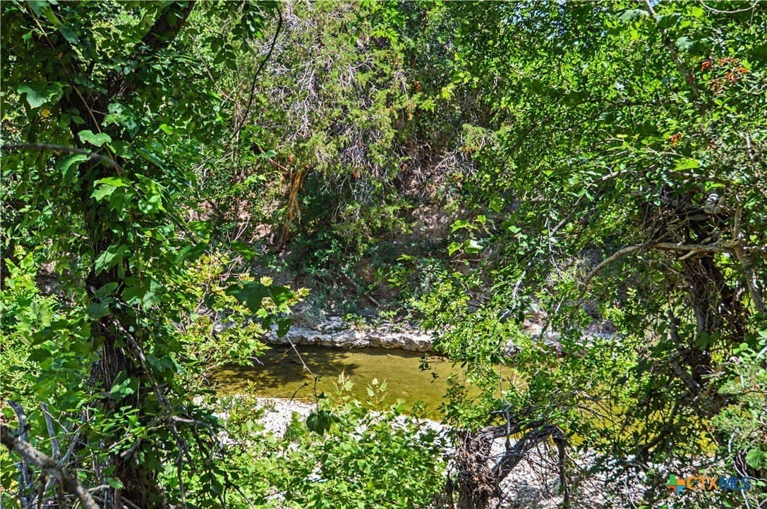 76.76 acres in Lampasas County - photo 6