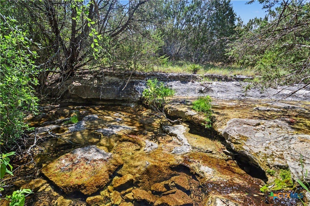 76.76 acres in Lampasas County gallery image 2