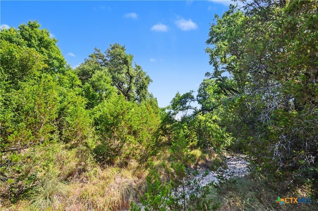 76.76 acres in Lampasas County - photo 40