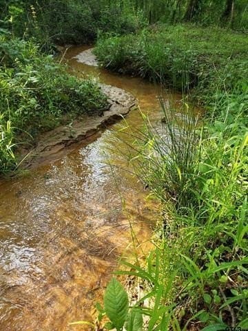 10 acres in Smith County