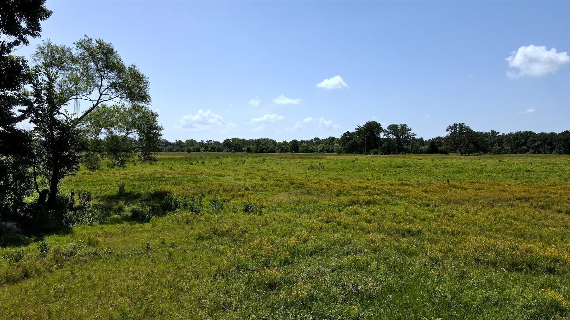 48.64 acres in Henderson County - photo 26