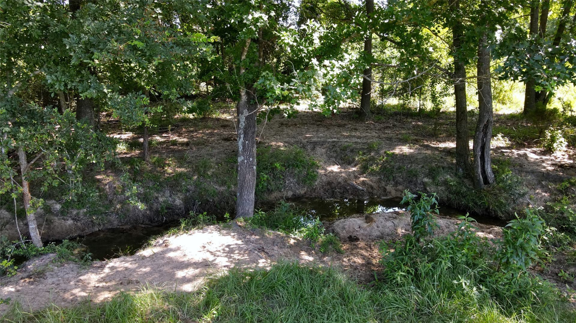 48.64 acres in Henderson County - photo 25