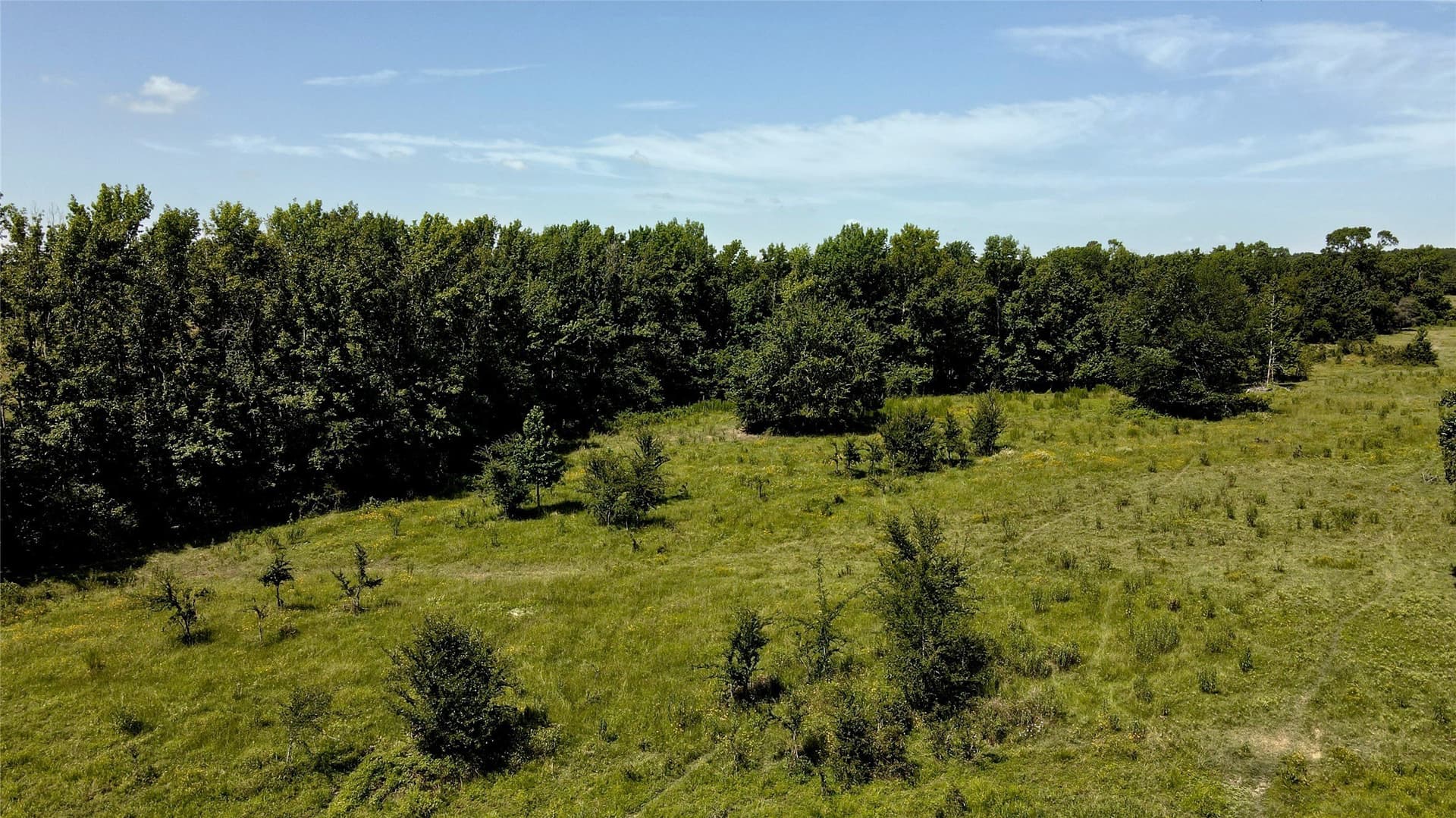 48.64 acres in Henderson County - photo 22