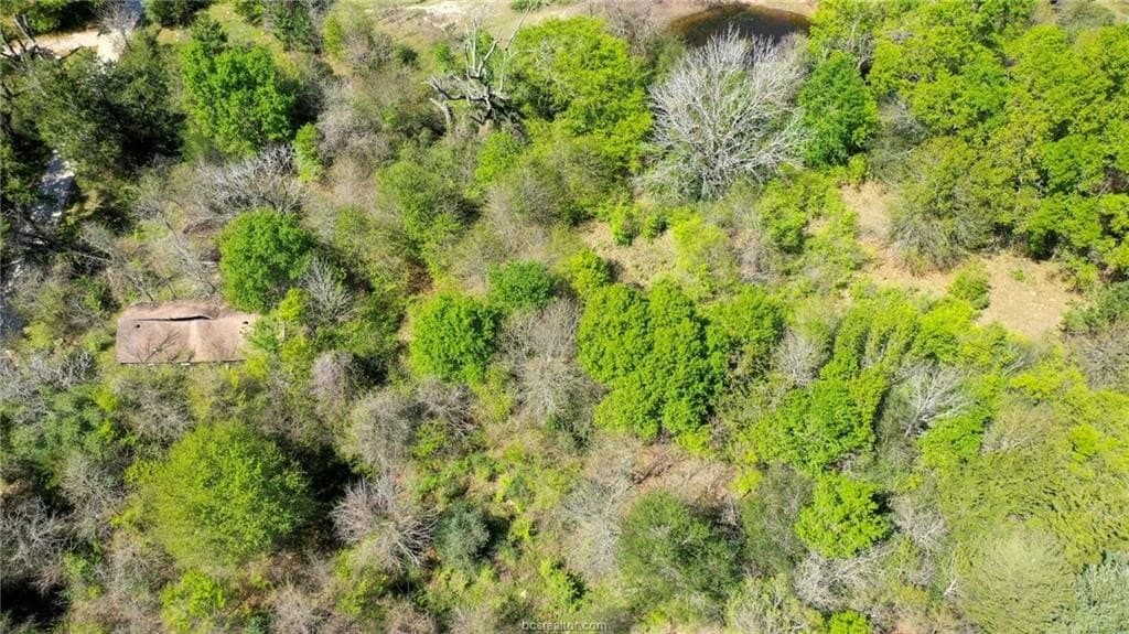 7 acres in Madison County - photo 8