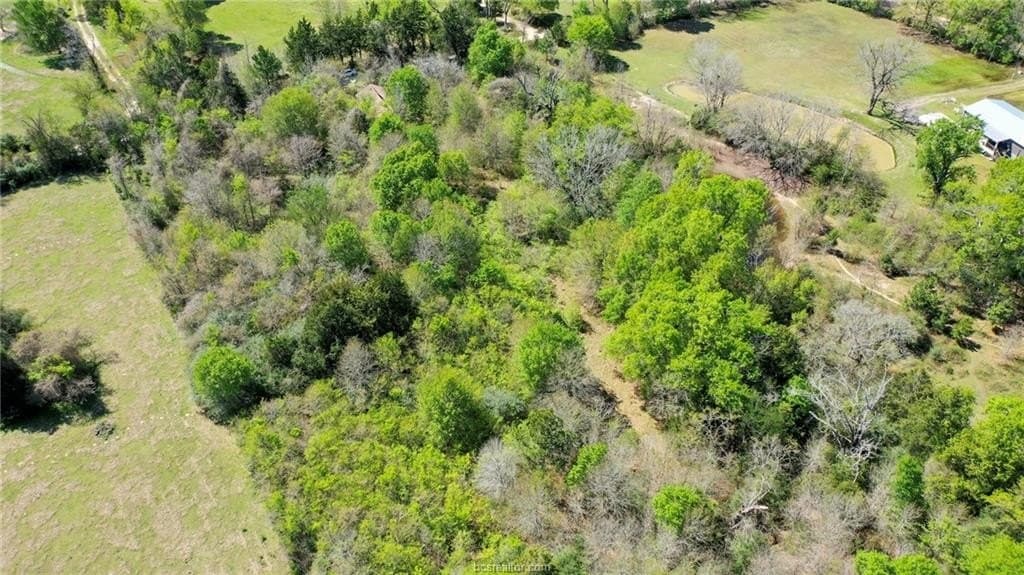 7 acres in Madison County - photo 9