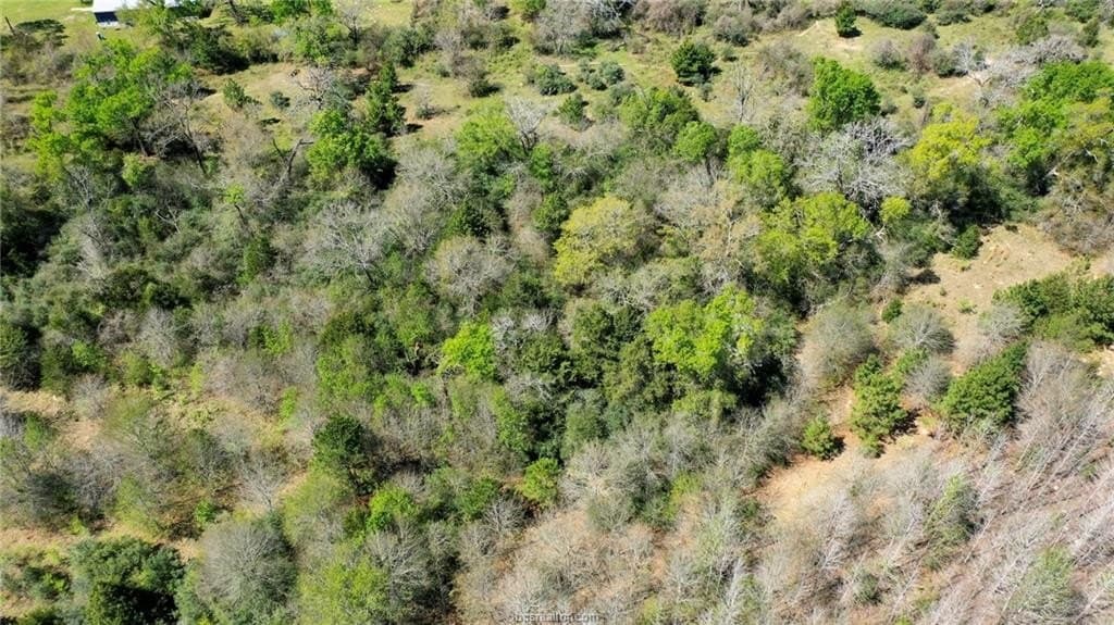 7 acres in Madison County - photo 11