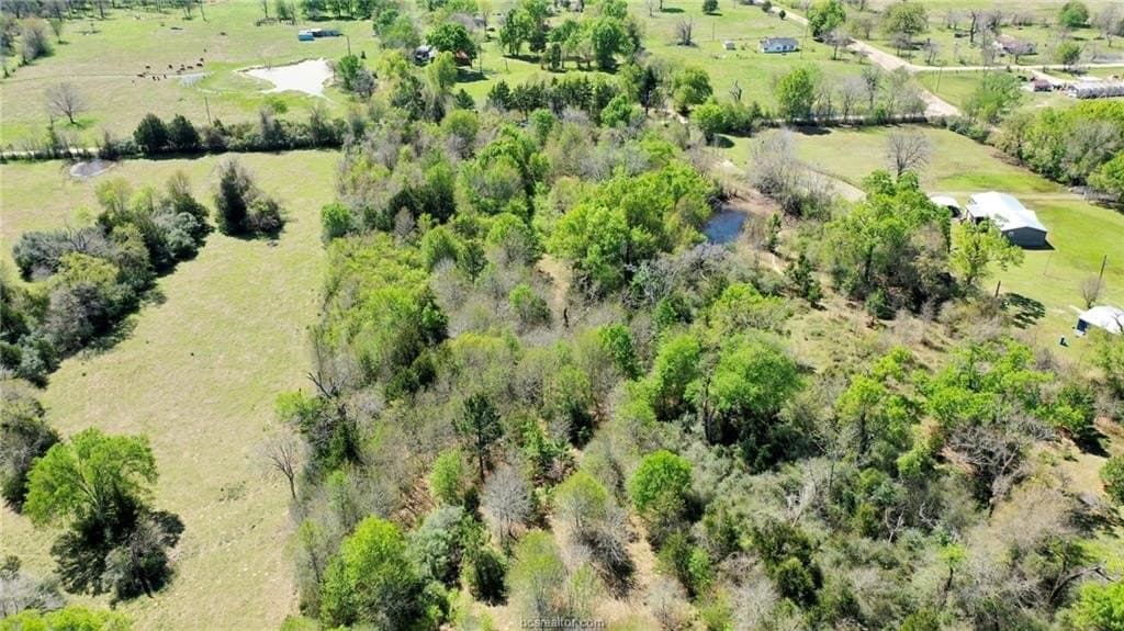 7 acres in Madison County - photo 10