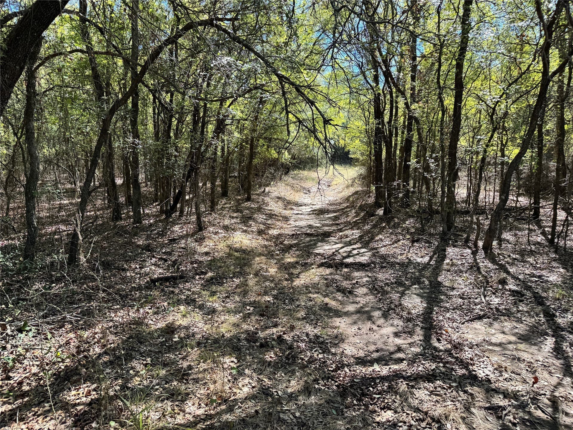 10.01 acres in Hood County - photo 21