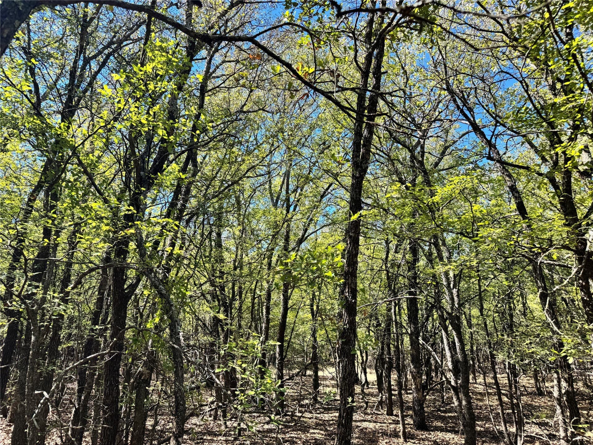 10.01 acres in Hood County - photo 16