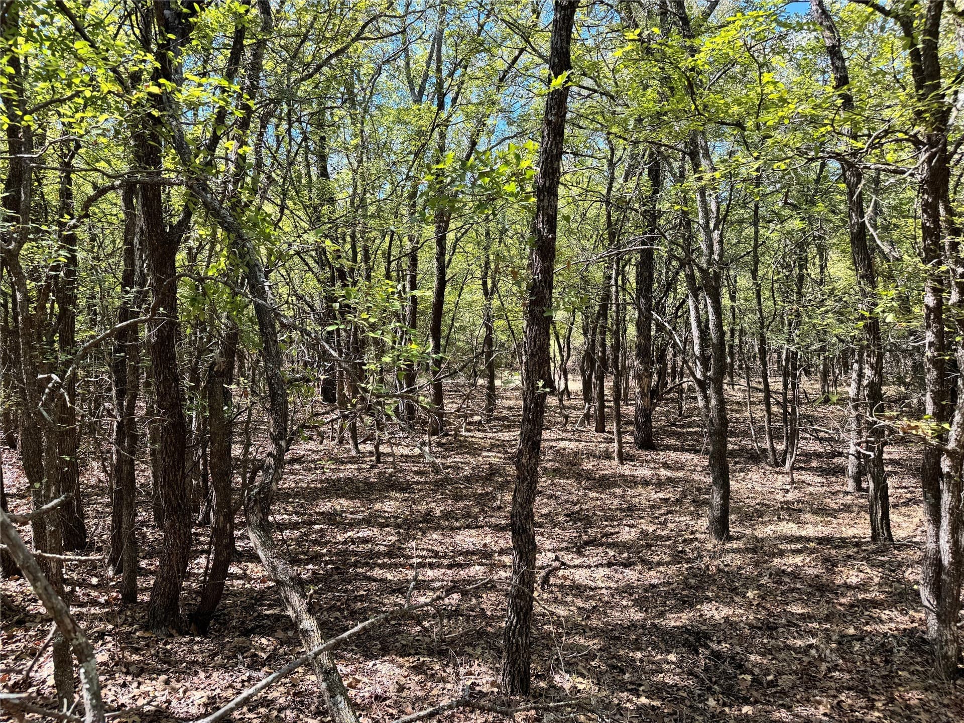 10.01 acres in Hood County - photo 17