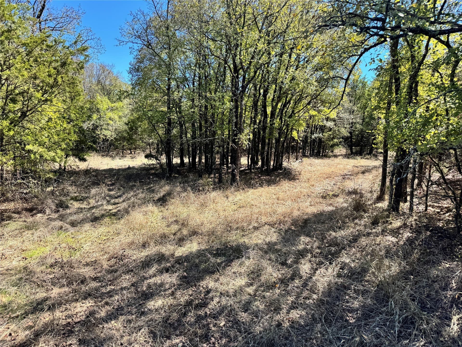 10.01 acres in Hood County - photo 13