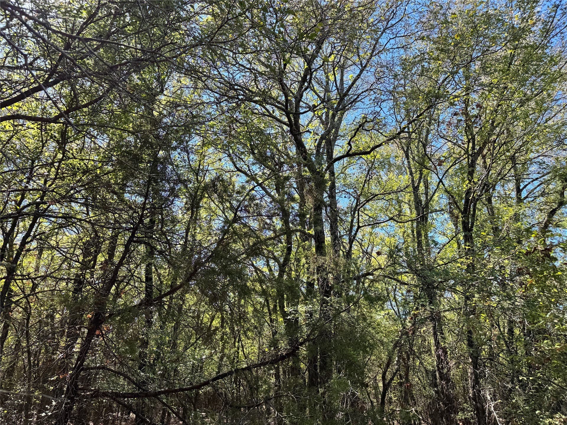 10.01 acres in Hood County - photo 22