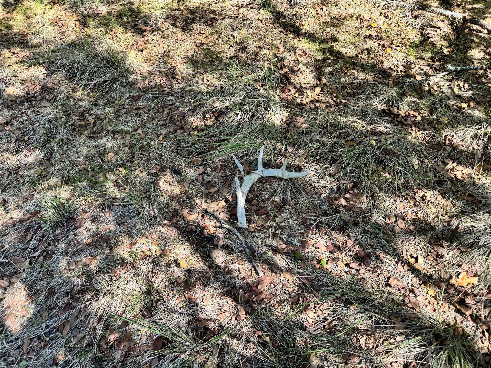 10.01 acres in Hood County - photo 26