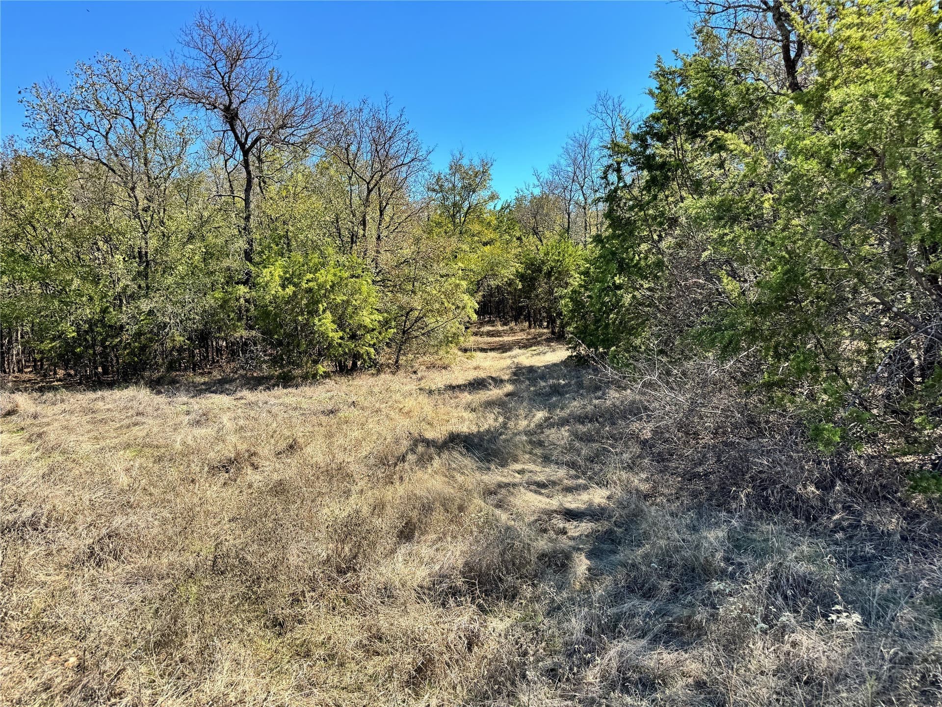 10.01 acres in Hood County - photo 28