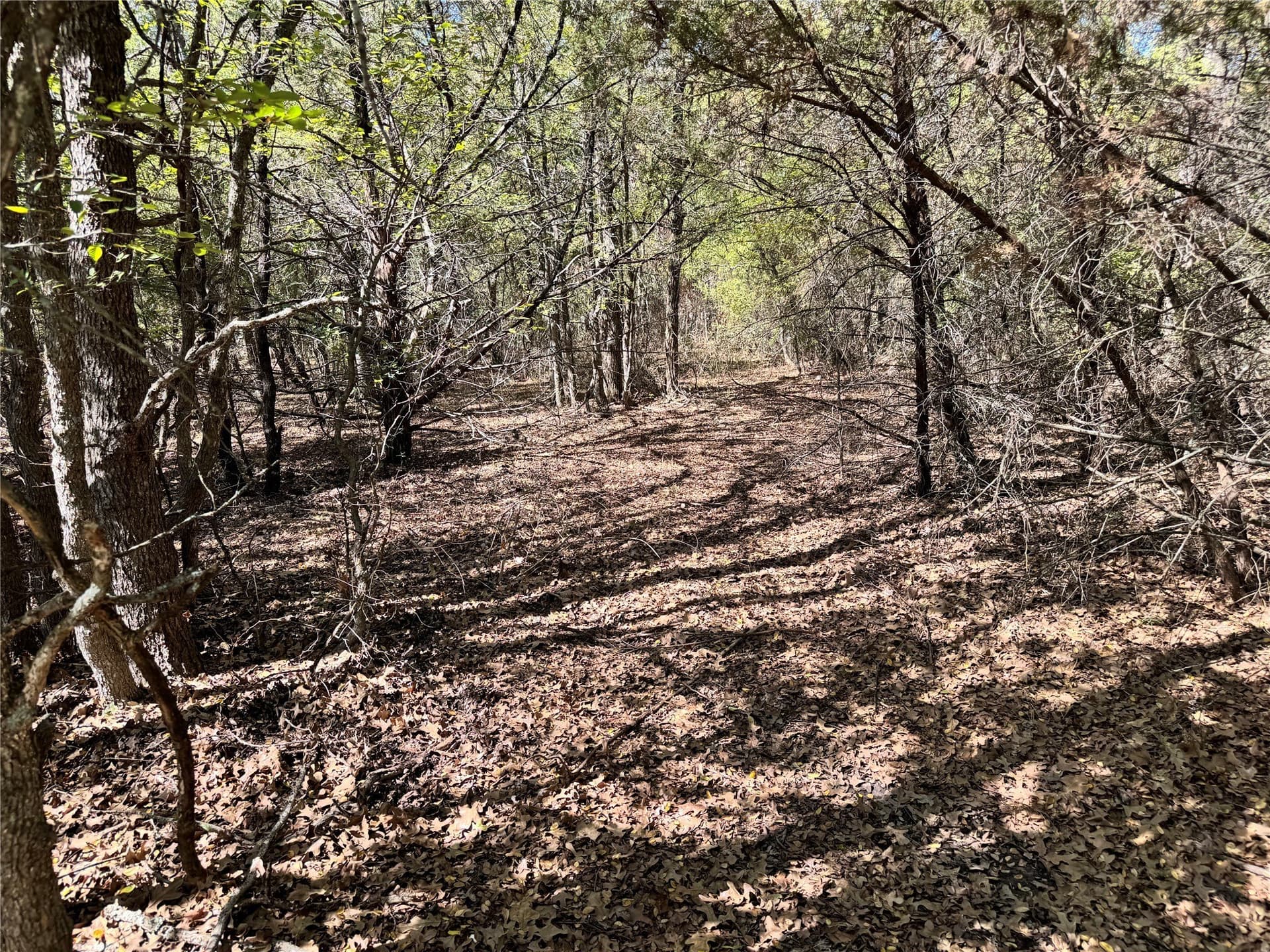 10.01 acres in Hood County - photo 19