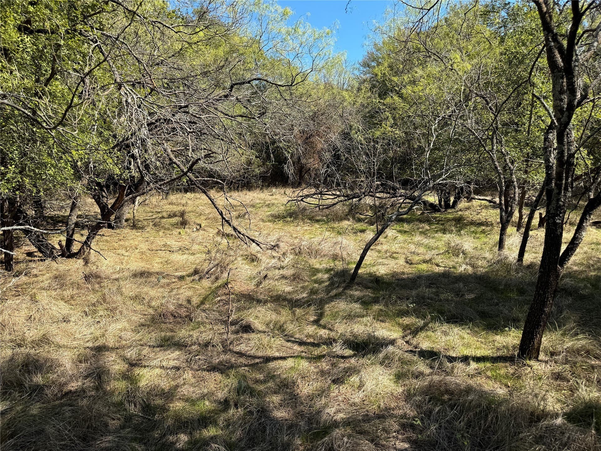 10.01 acres in Hood County - photo 25
