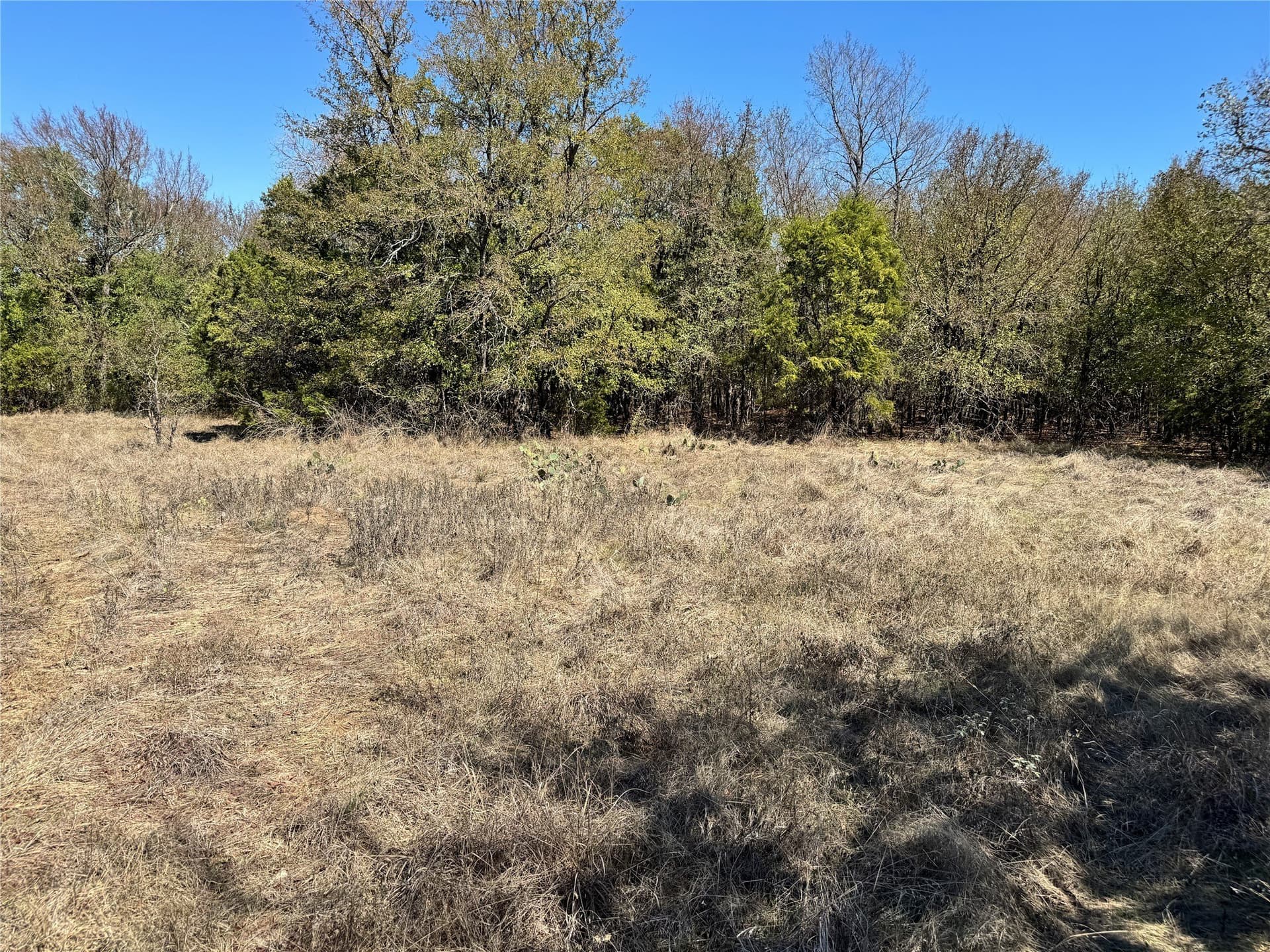 10.01 acres in Hood County - photo 27
