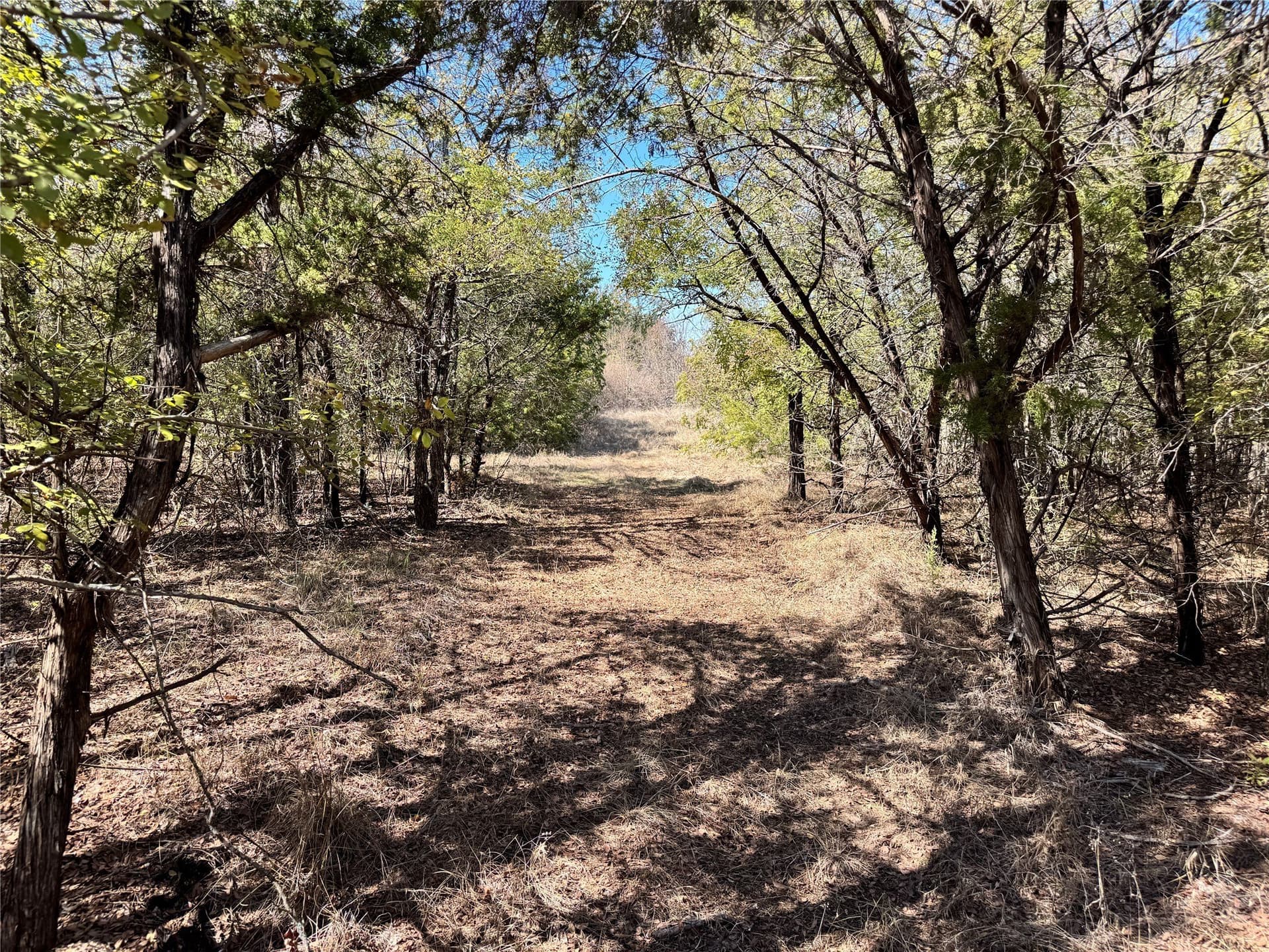 10.01 acres in Hood County - photo 29