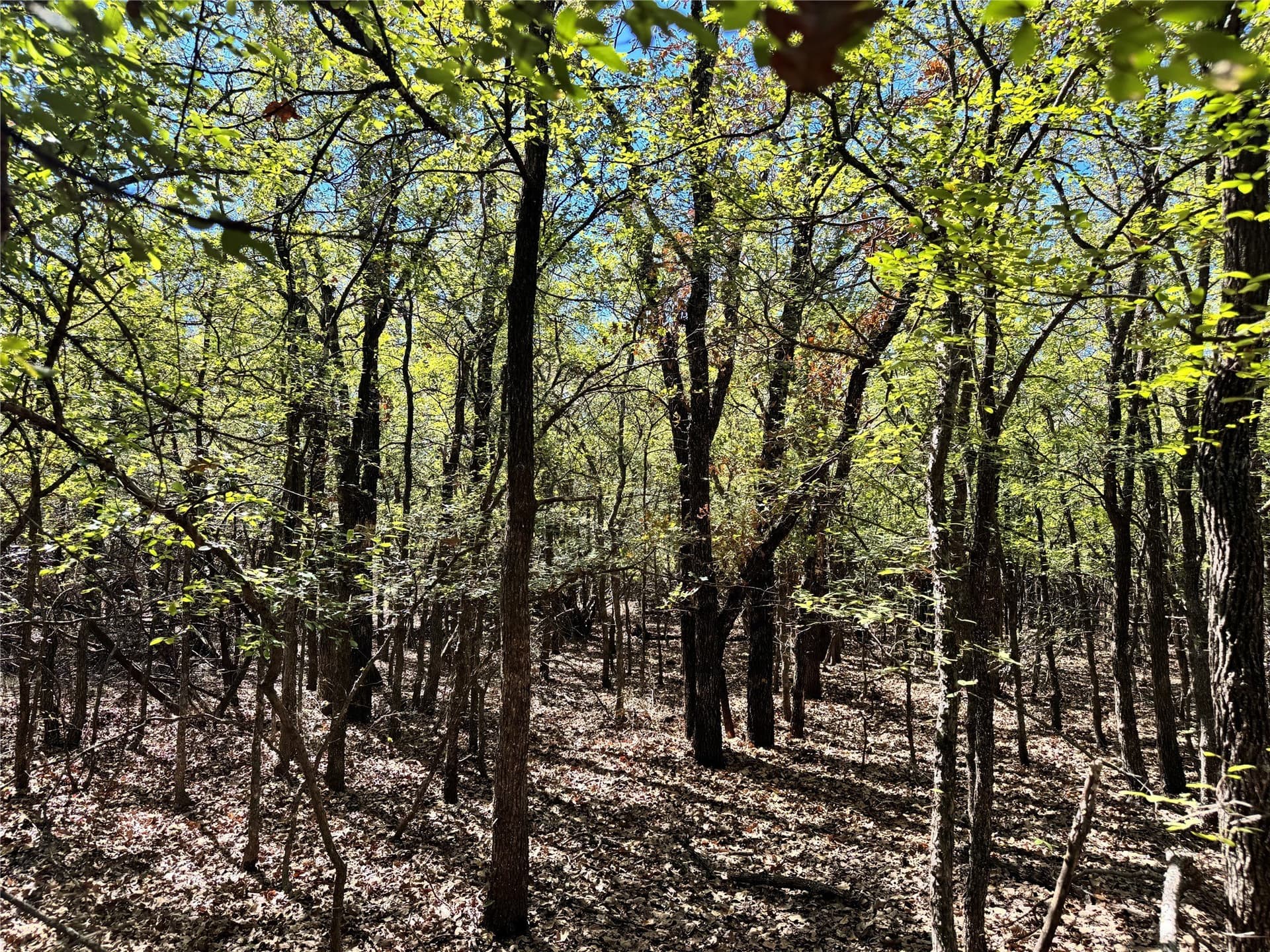10.01 acres in Hood County - photo 15