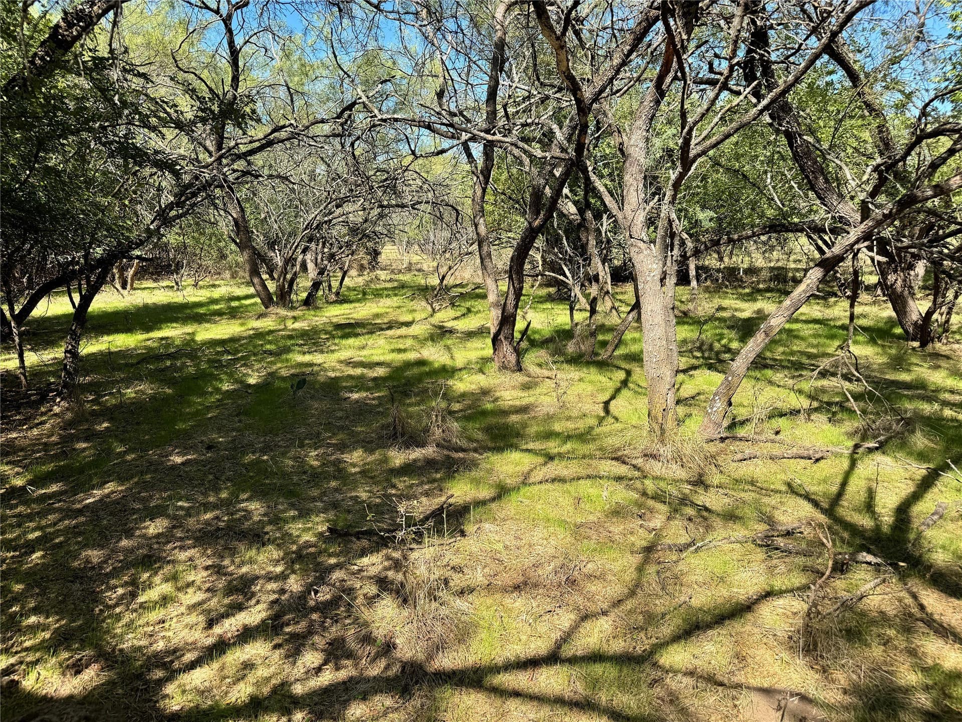 10.01 acres in Hood County - photo 20