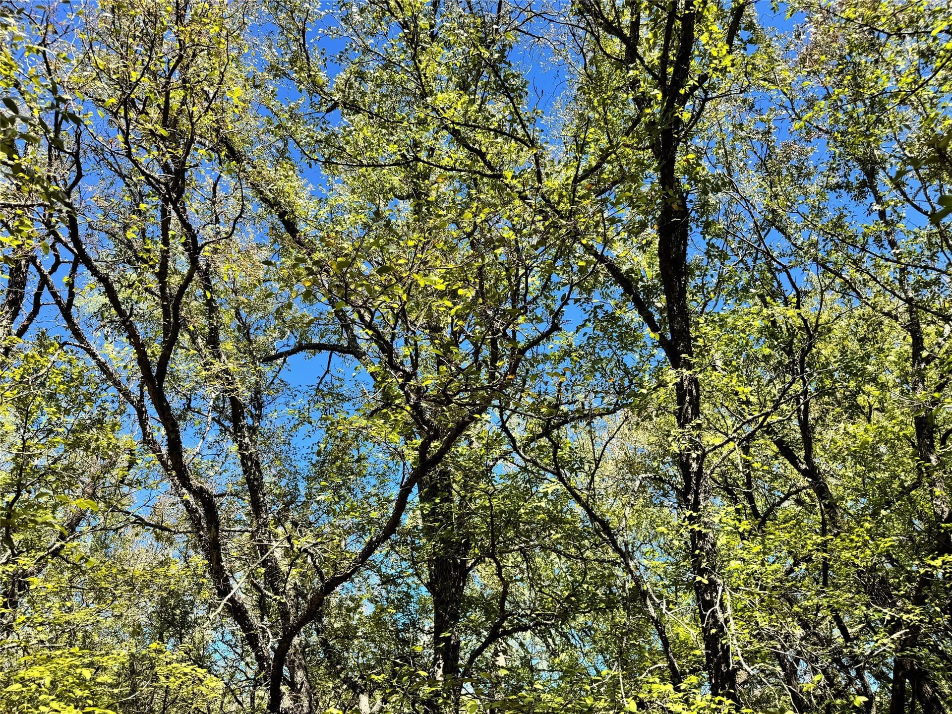 10.01 acres in Hood County - photo 18