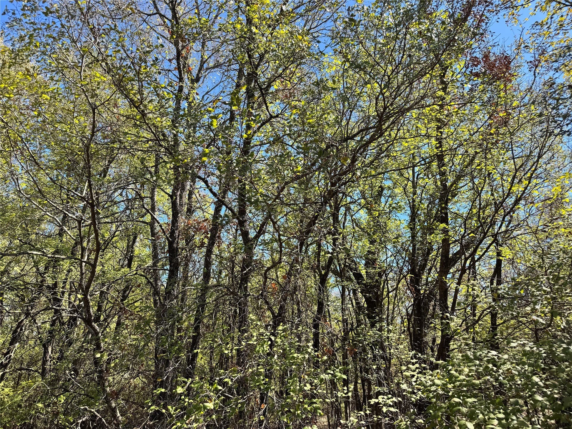 10.01 acres in Hood County - photo 14