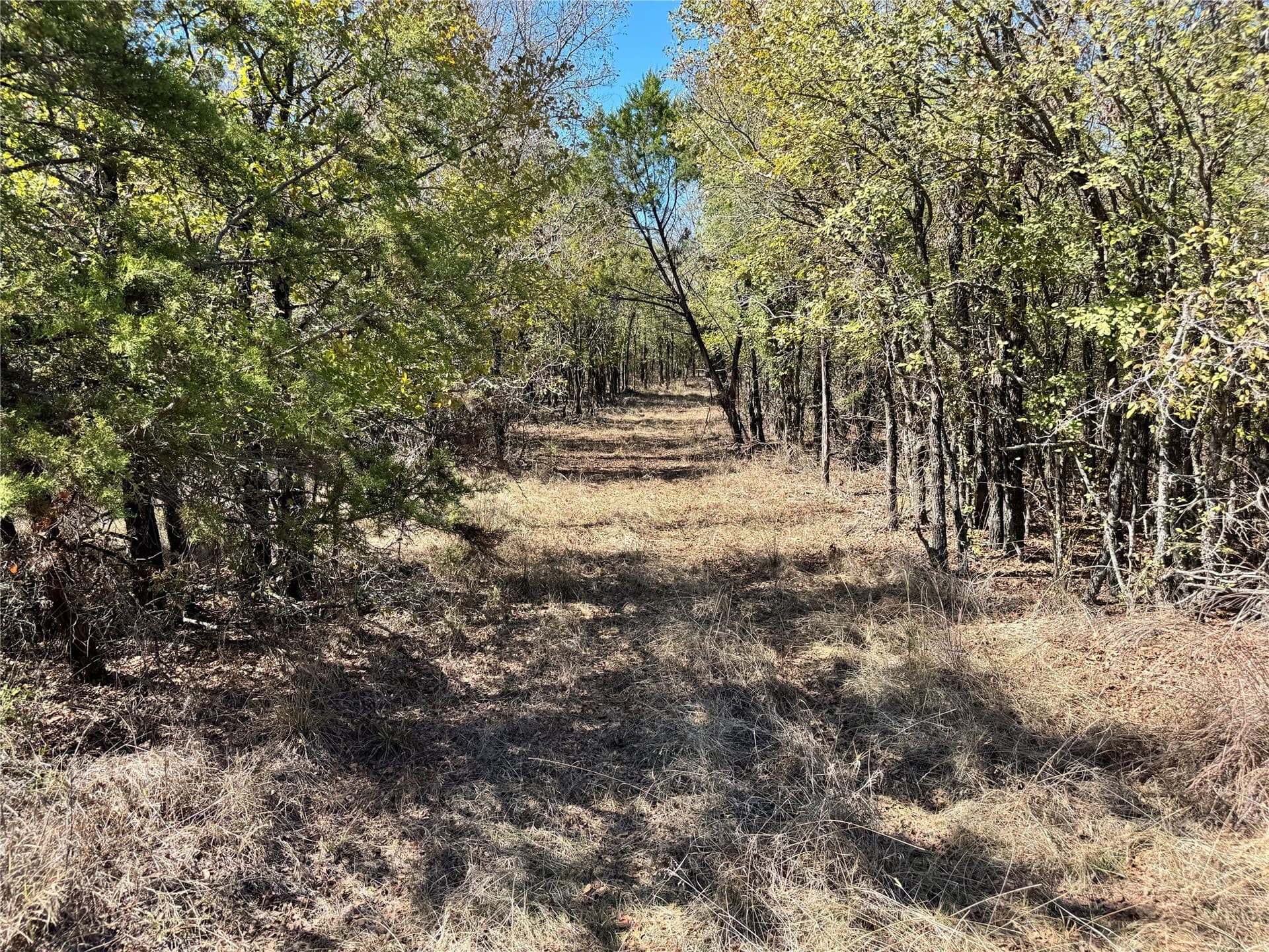 10.01 acres in Hood County - photo 12