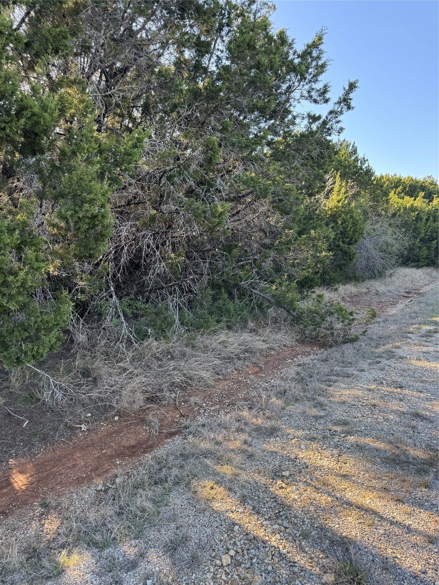0.35 acres in Hill County - photo 7
