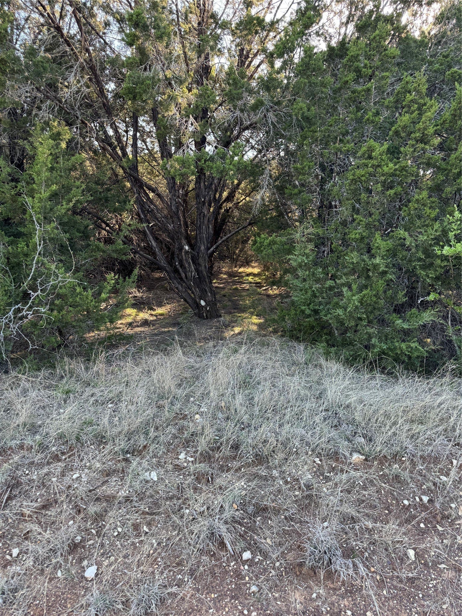0.35 acres in Hill County - photo 6