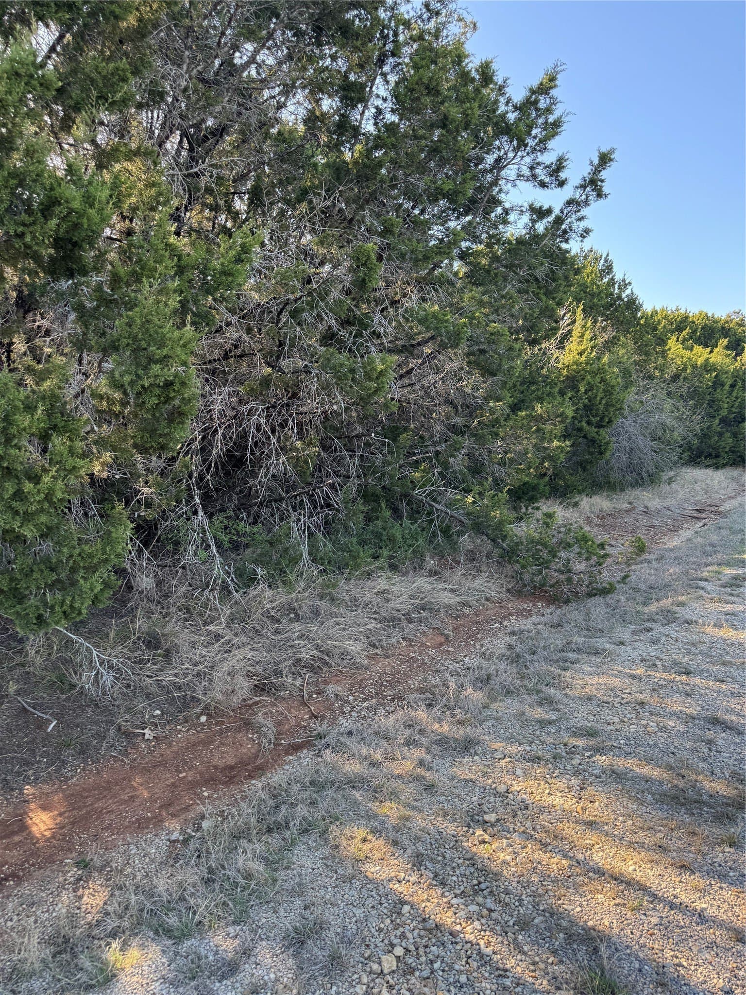 0.35 acres in Hill County - photo 8