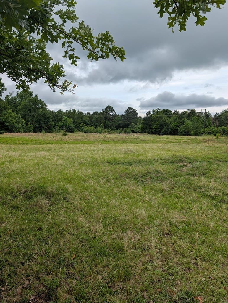 2 acres in Wood County gallery image 3
