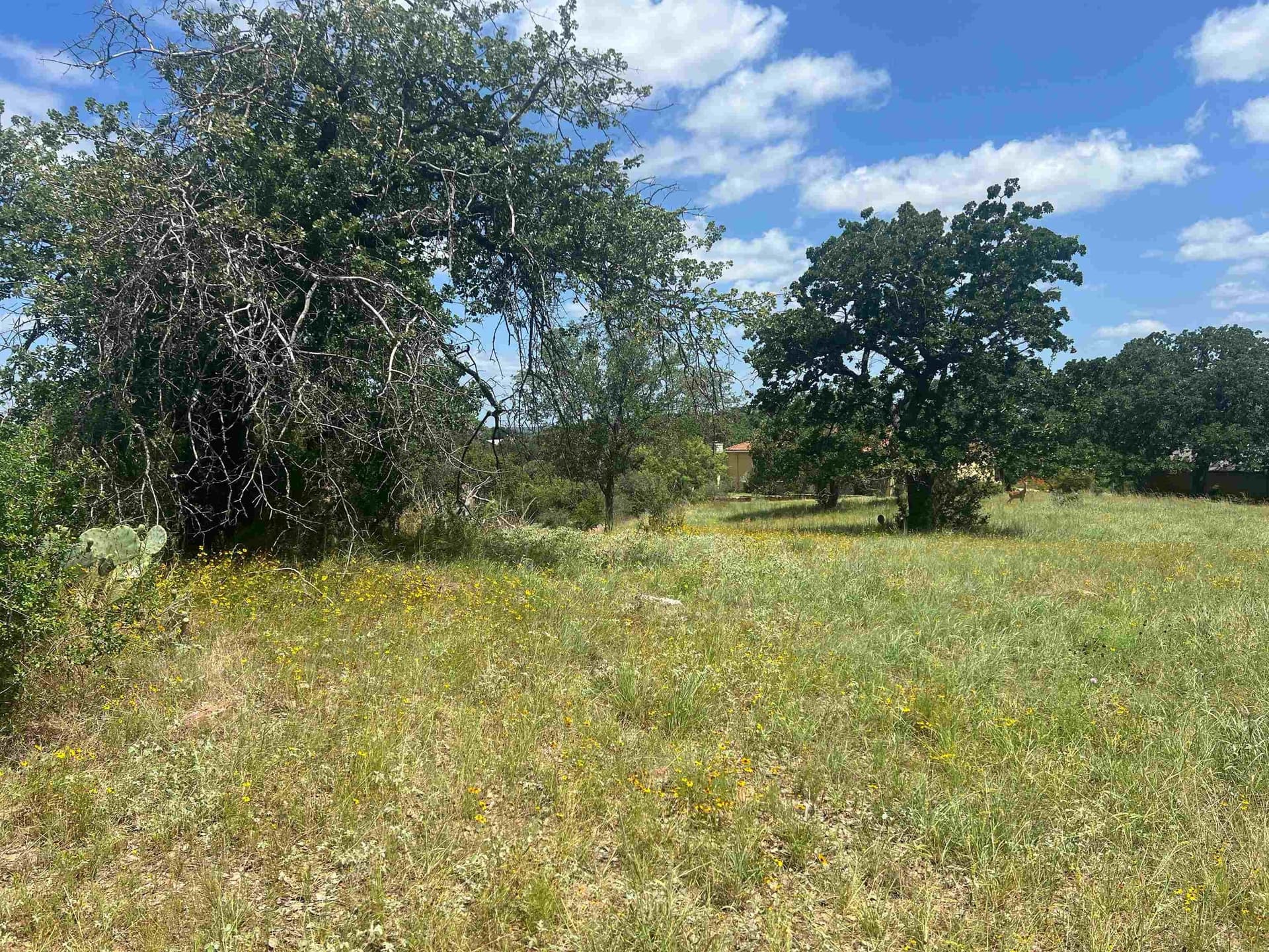 0.23 acres in Llano County gallery image 4