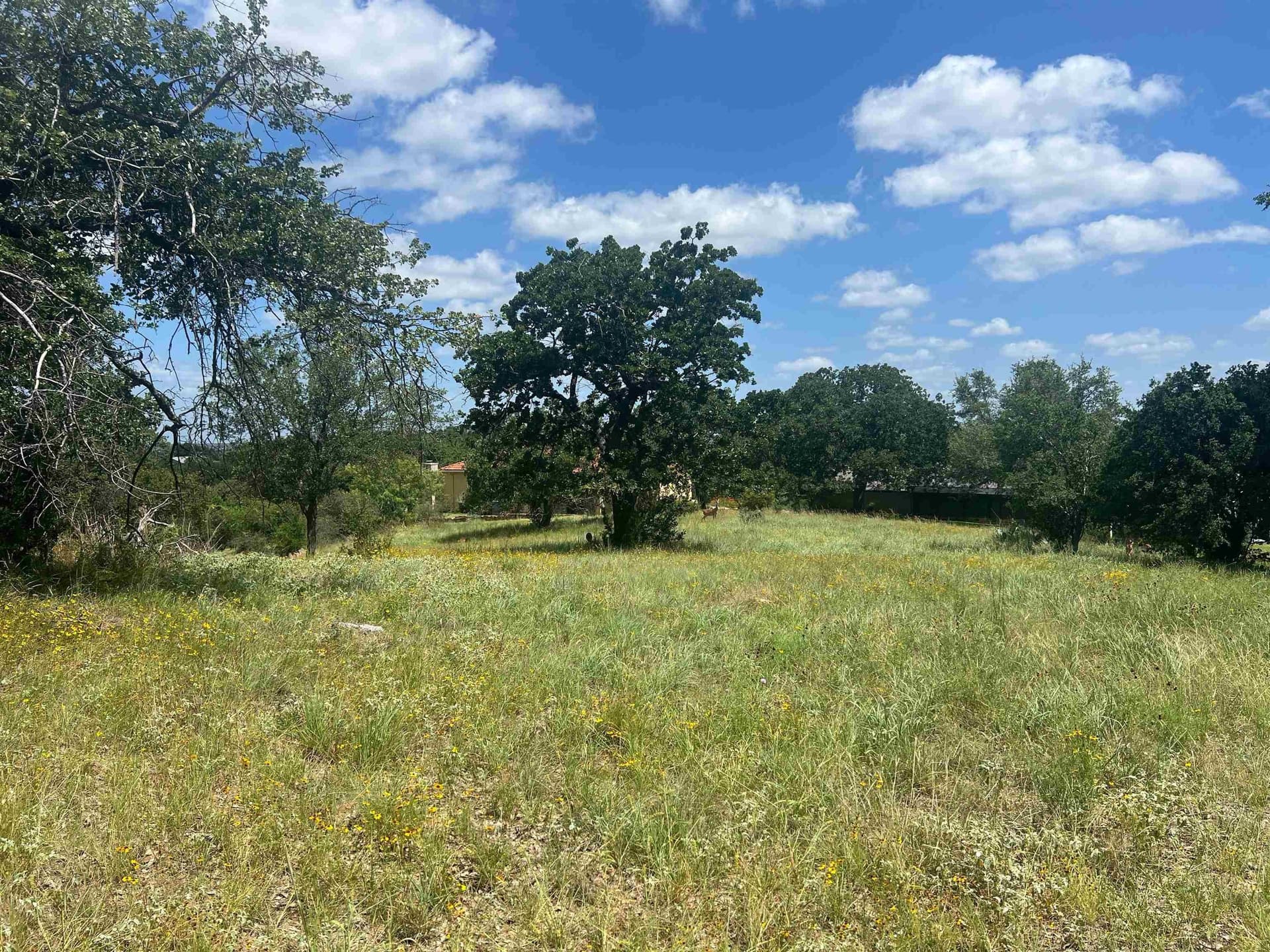 0.23 acres in Llano County gallery image 3