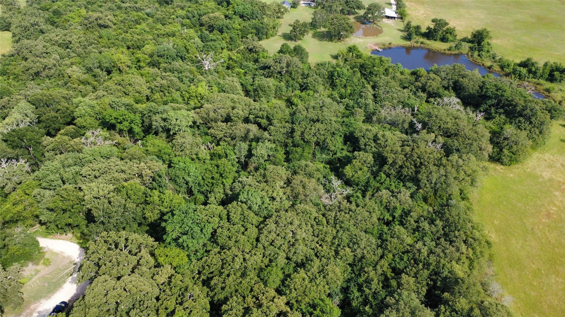 1.9 acres in Van Zandt County featured view