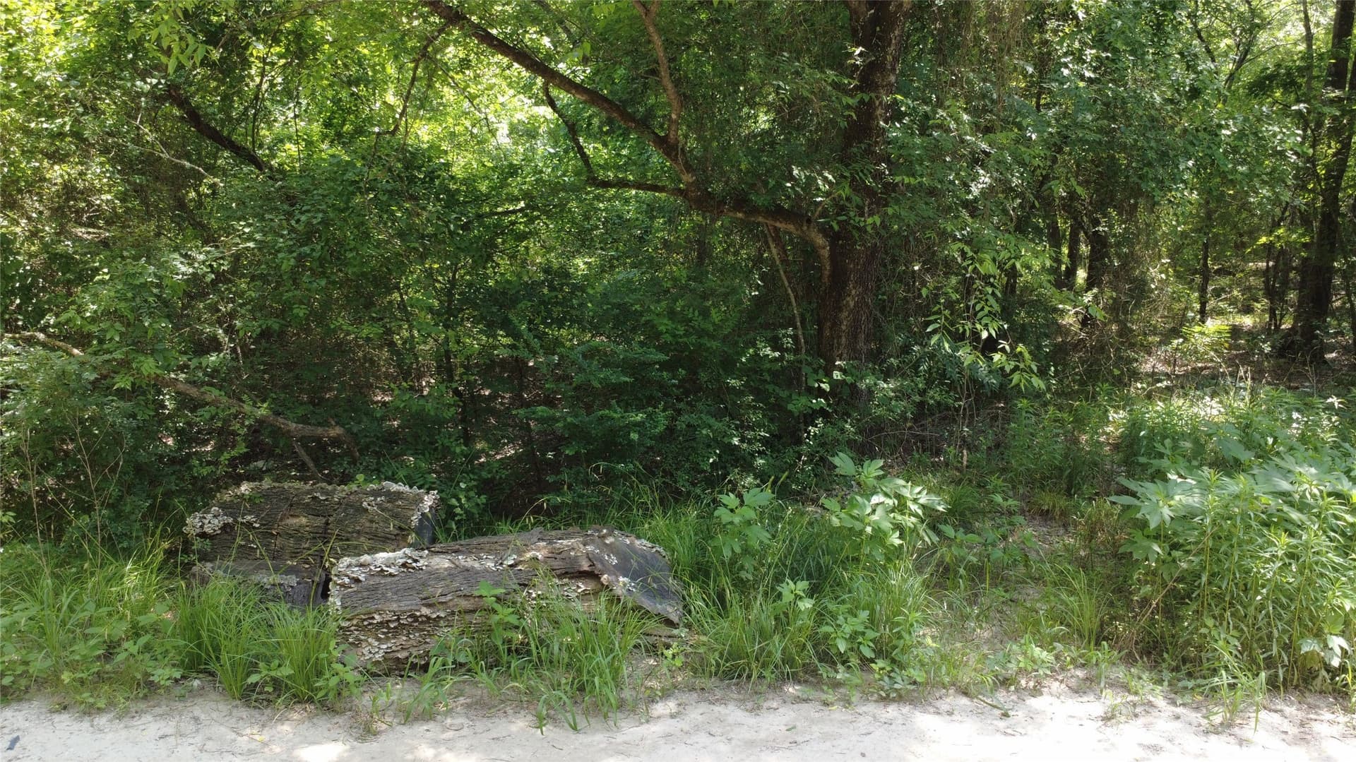 1.9 acres in Van Zandt County gallery image 2