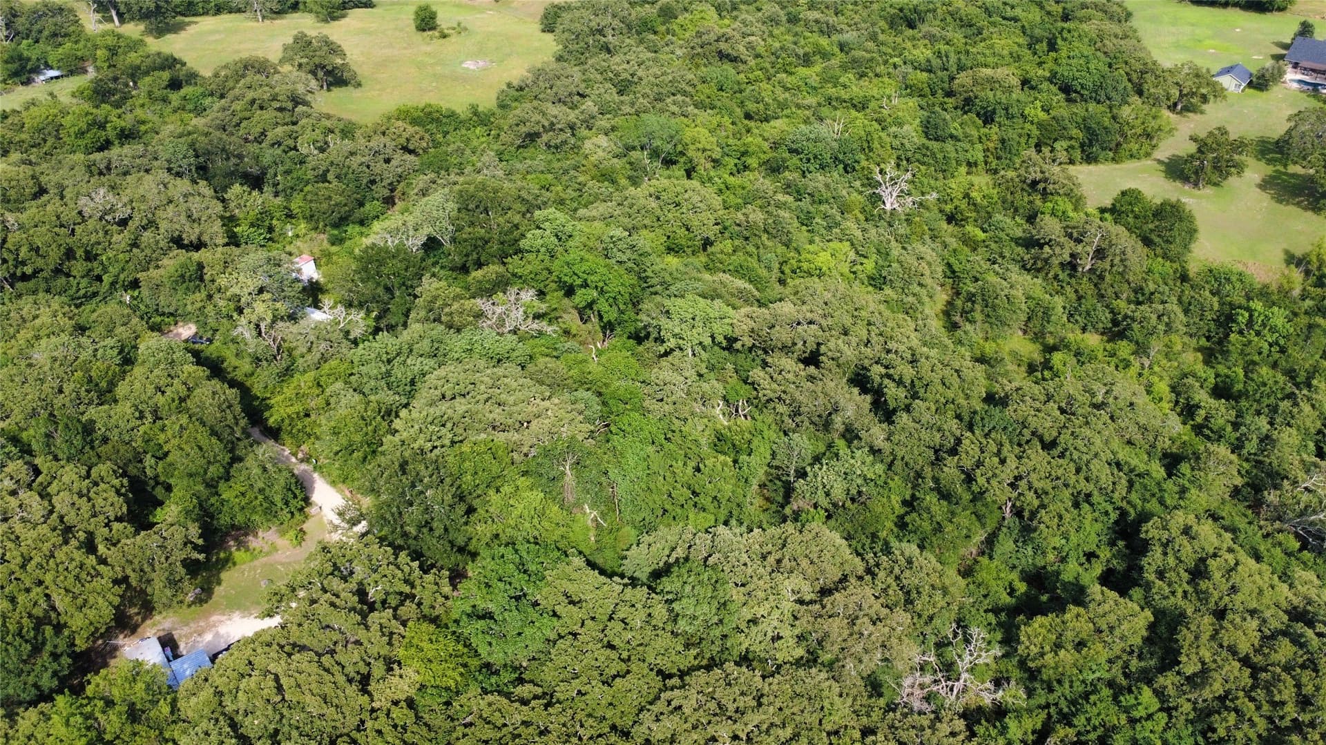 1.9 acres in Van Zandt County - photo 7