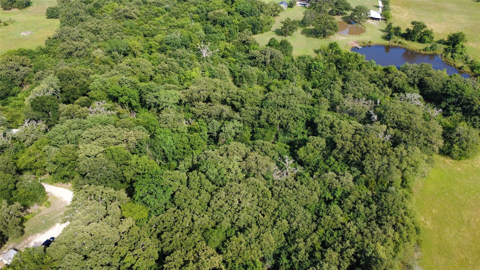 1.9 acres in Van Zandt County - photo 6