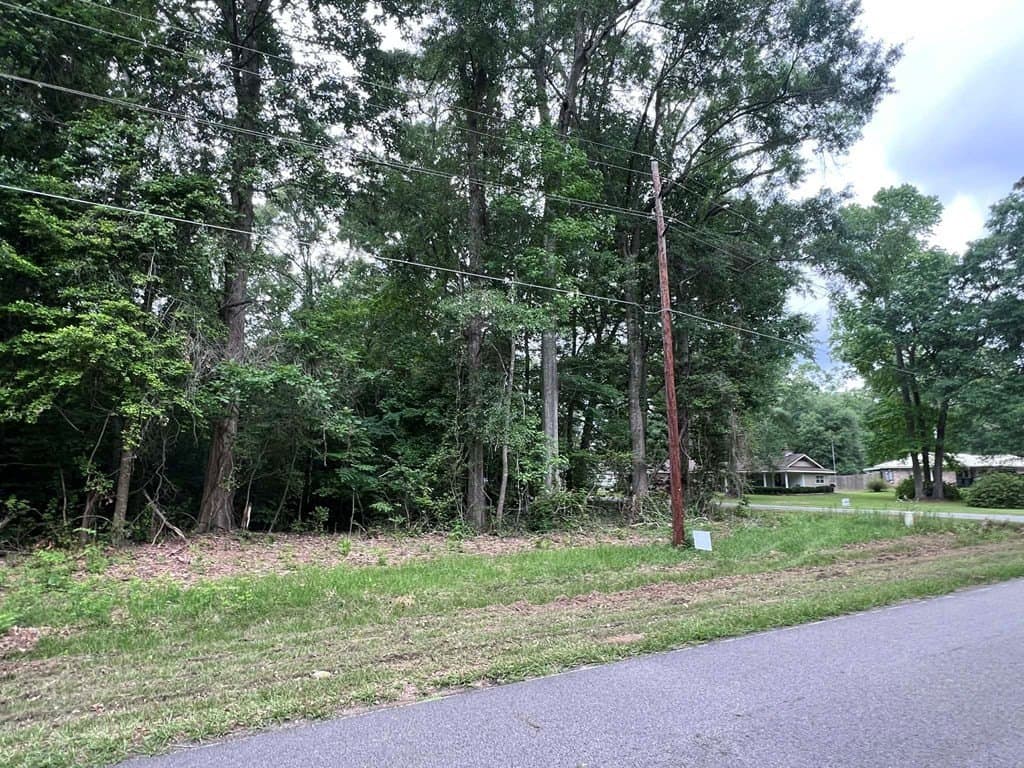 0.79 acres in Texas County gallery image 4