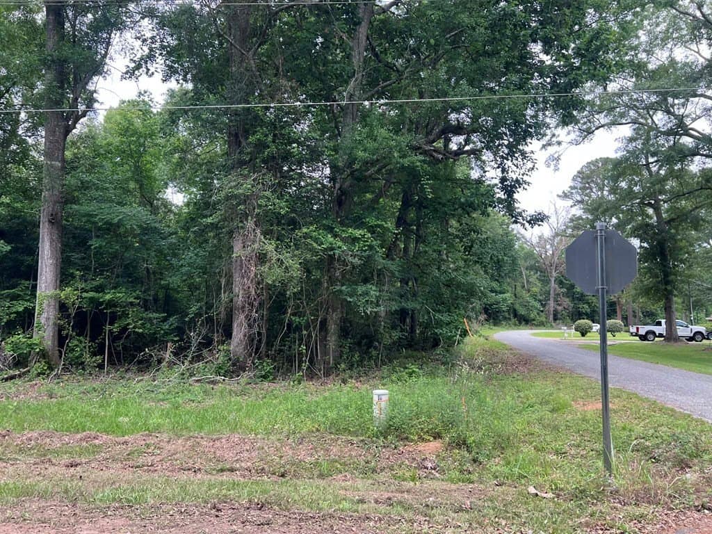 0.79 acres in Texas County gallery image 2