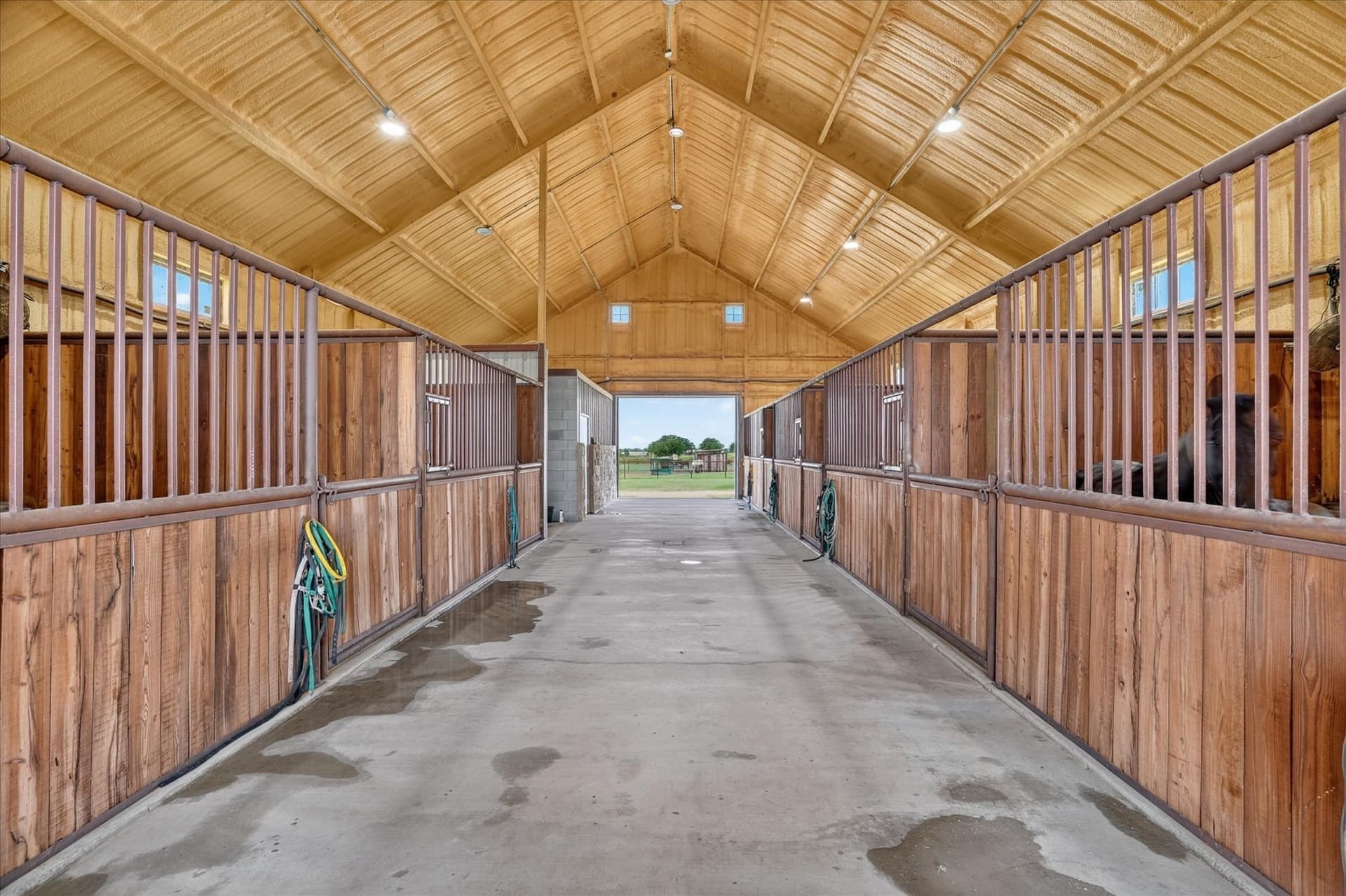 10.04 acres in Hood County - photo 15