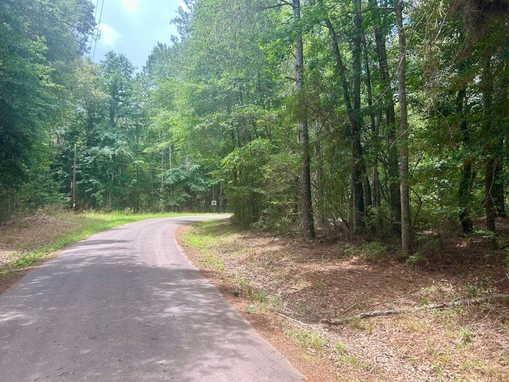 0.76 acres in Texas County gallery image 2