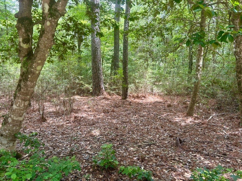 0.76 acres in Texas County gallery image 4