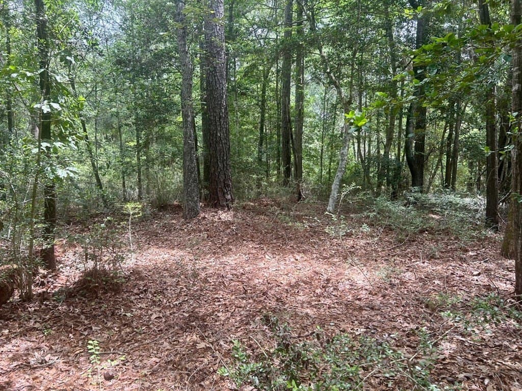 0.76 acres in Texas County featured view