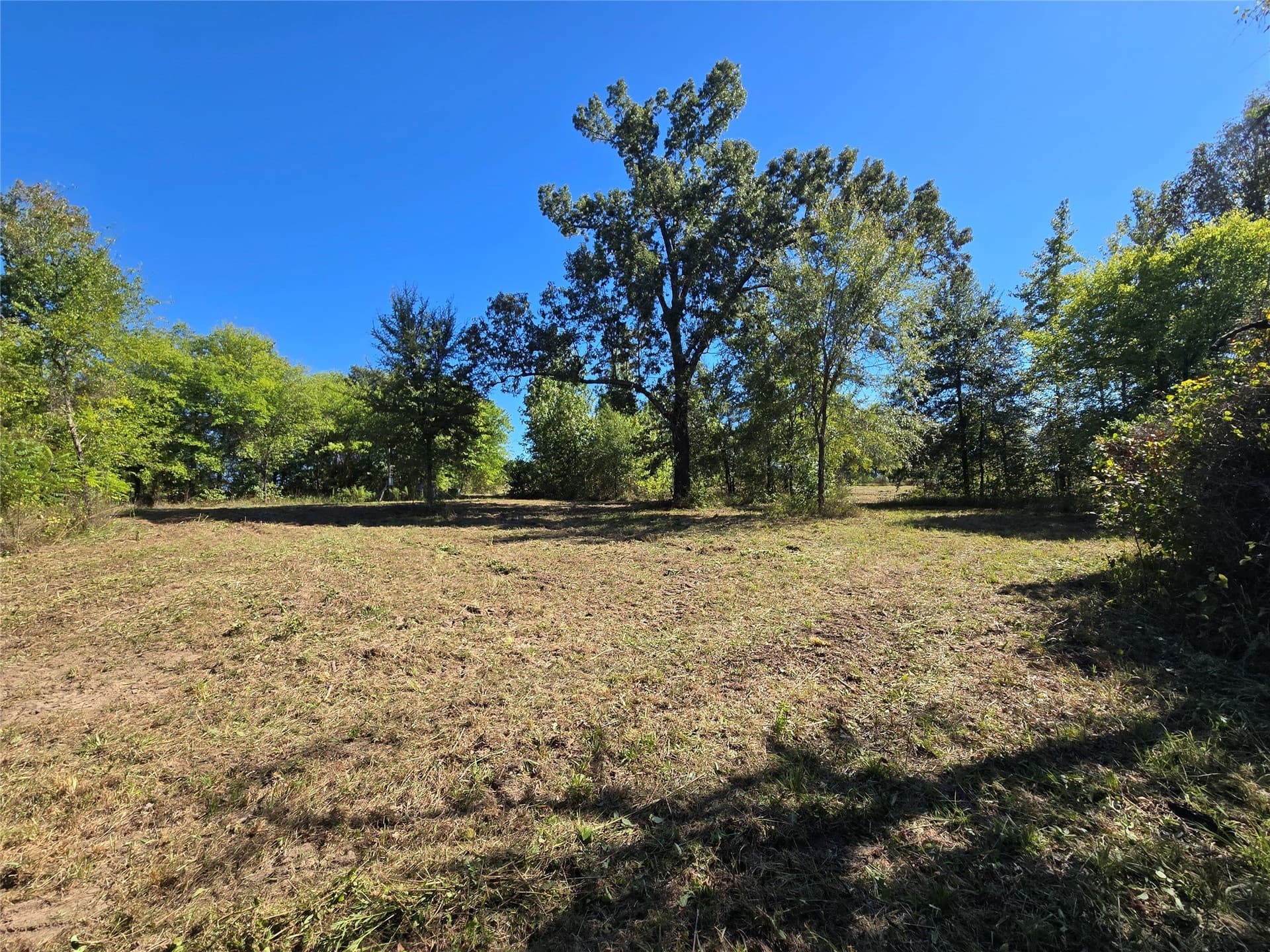 12.56 acres in Titus County - photo 7
