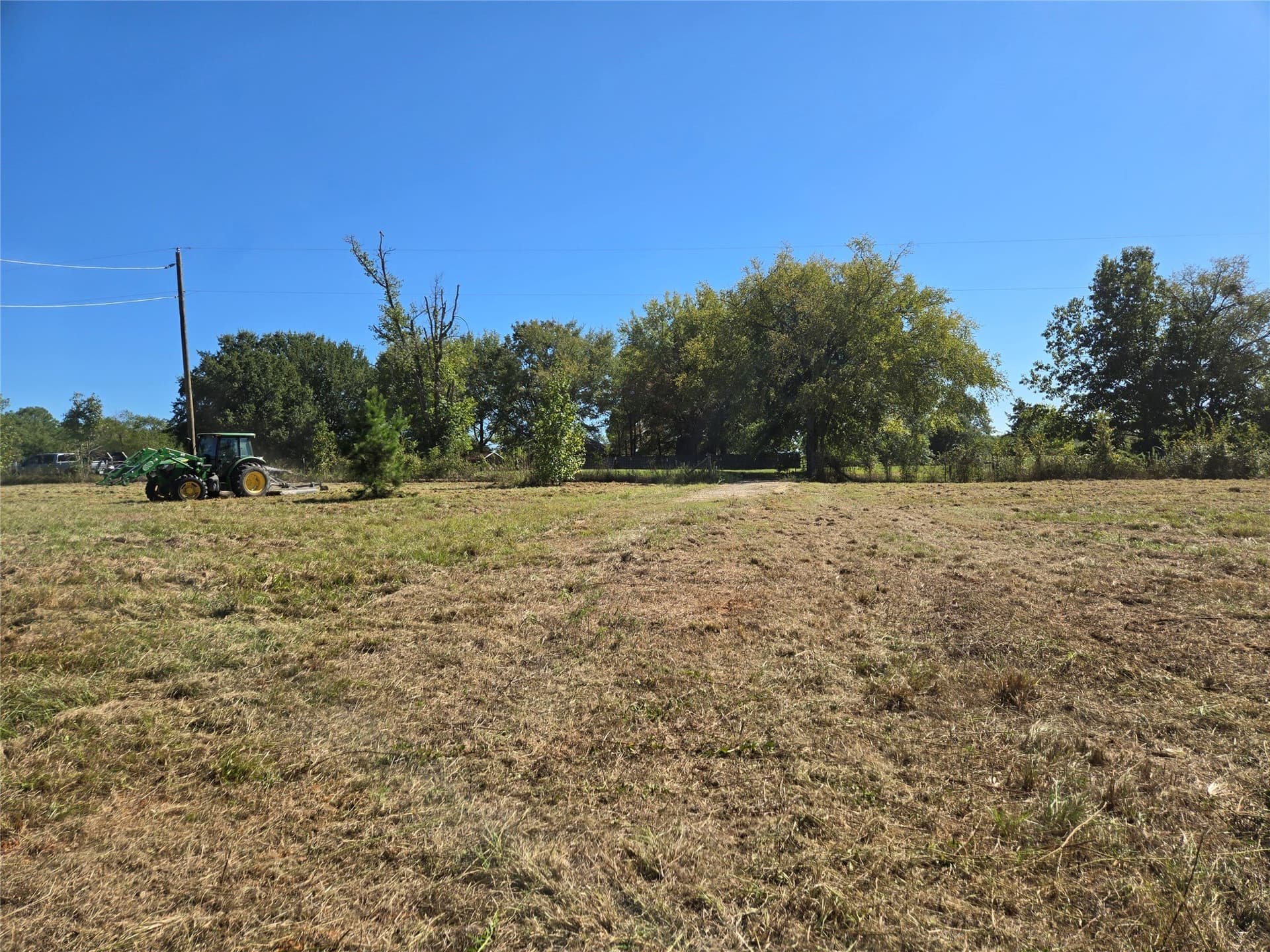 12.56 acres in Titus County - photo 6