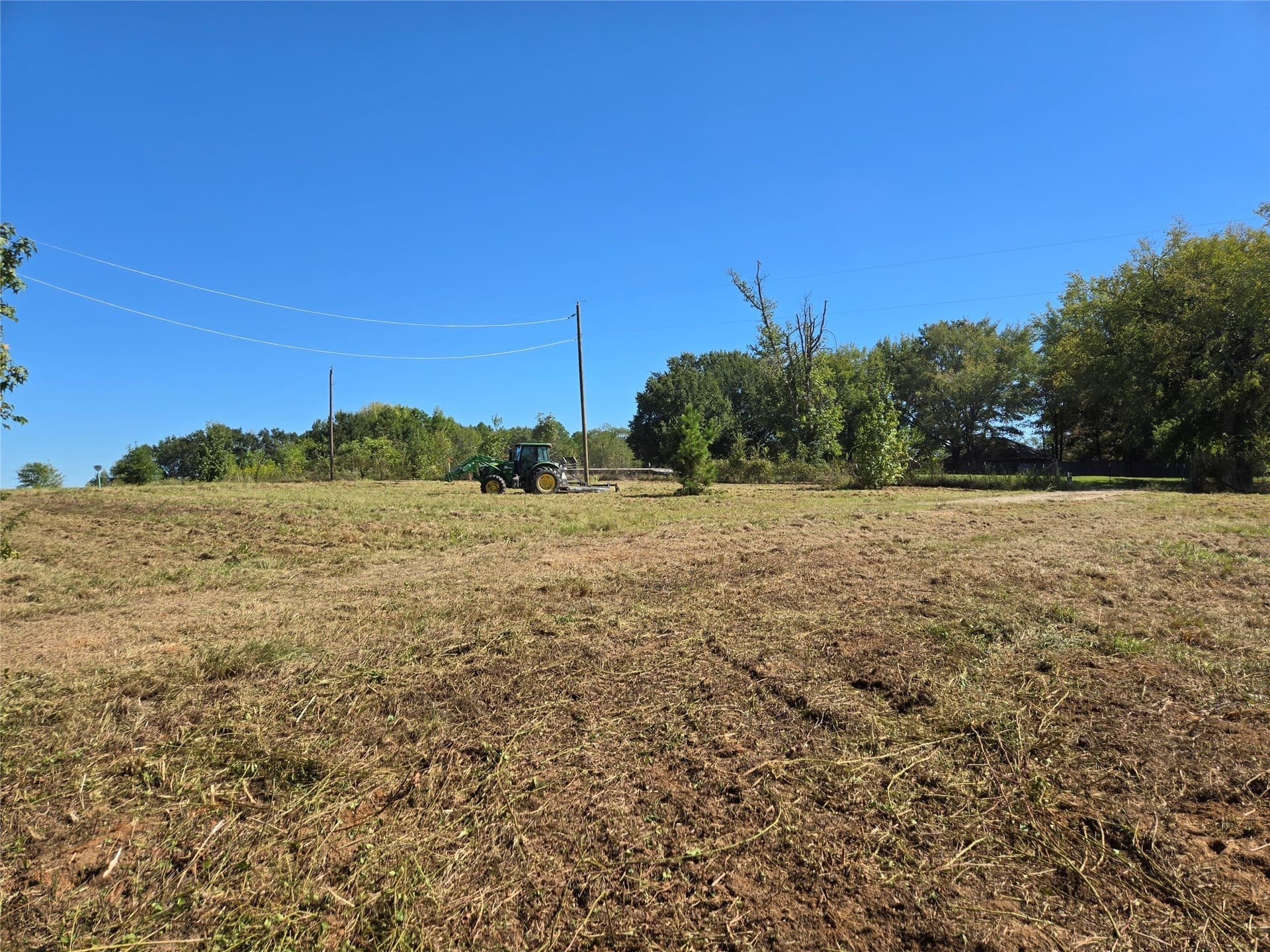 12.56 acres in Titus County - photo 8
